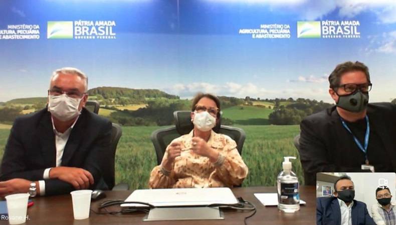 Ministra da Agricultura promete resolver caos meteorológico no Piauí